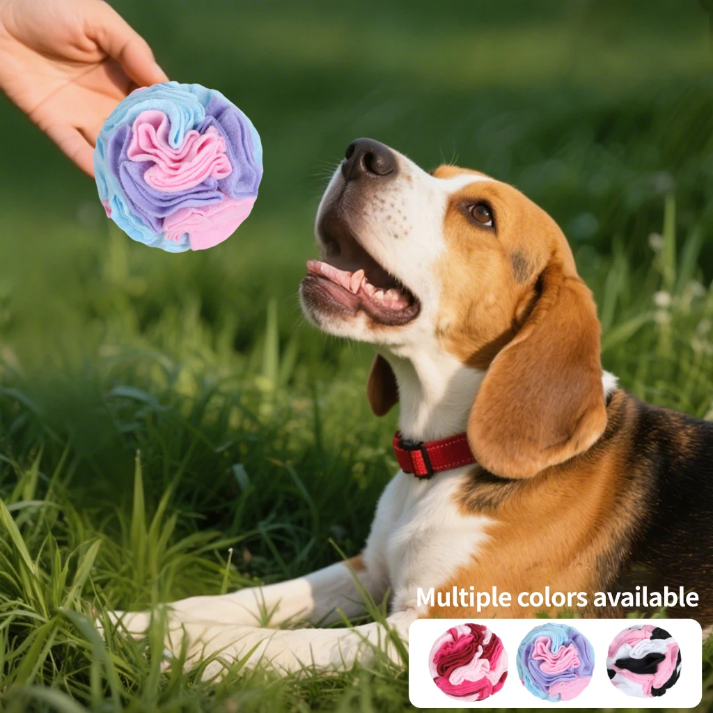 Thumbnail 4 - #7 Dog Balls Comparison Guide