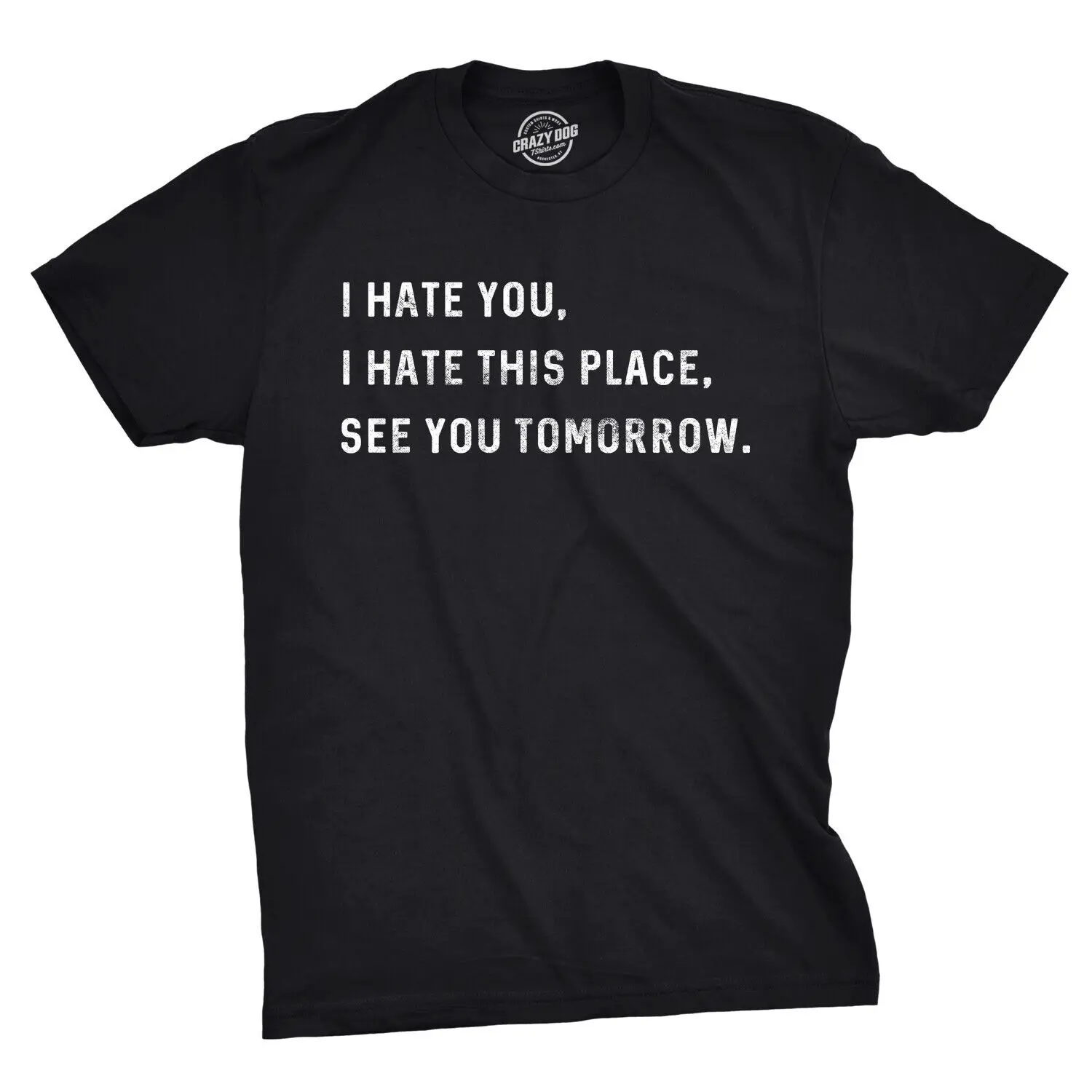 Mens I Hate You I Hate This Place See You Tomorrow Tshirt Funny Sarcastic Tee