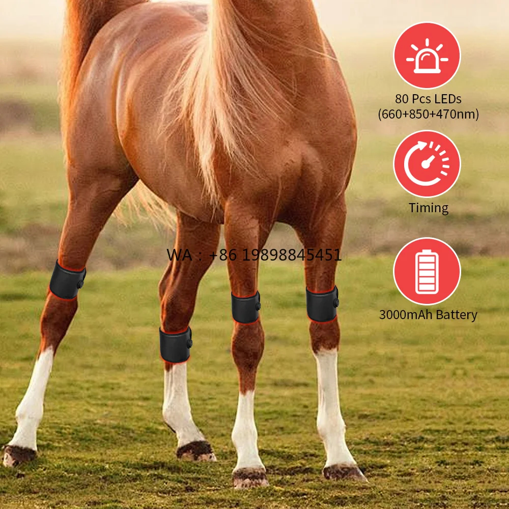 Flexible Physical Red Light Belt for Inflammation Device Professional Horse Equine Hoof Care Cordless Built-in