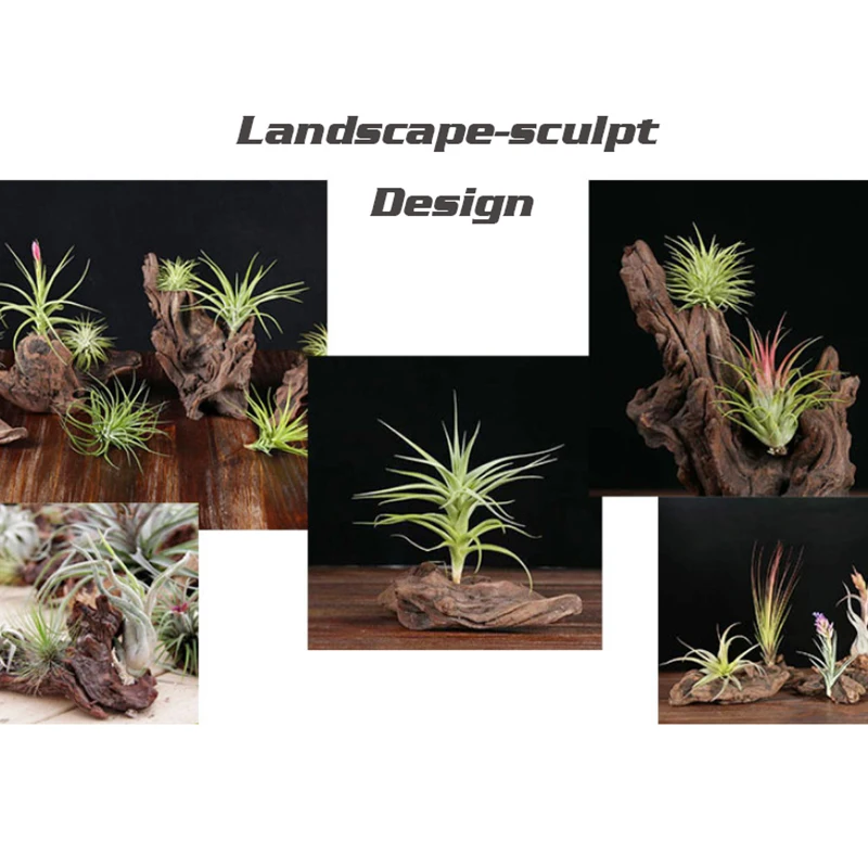 10/30CM Drift Wood Natural Tree aquarium decoration Fish Tank Driftwood Coral wood Climber Reptile Lizard Cork Pet Decor