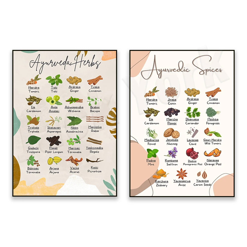 Ayurvedic poster with cooking spices, herbs, plants used for ayurvedic infusions, ayurvedic spices guide art poster