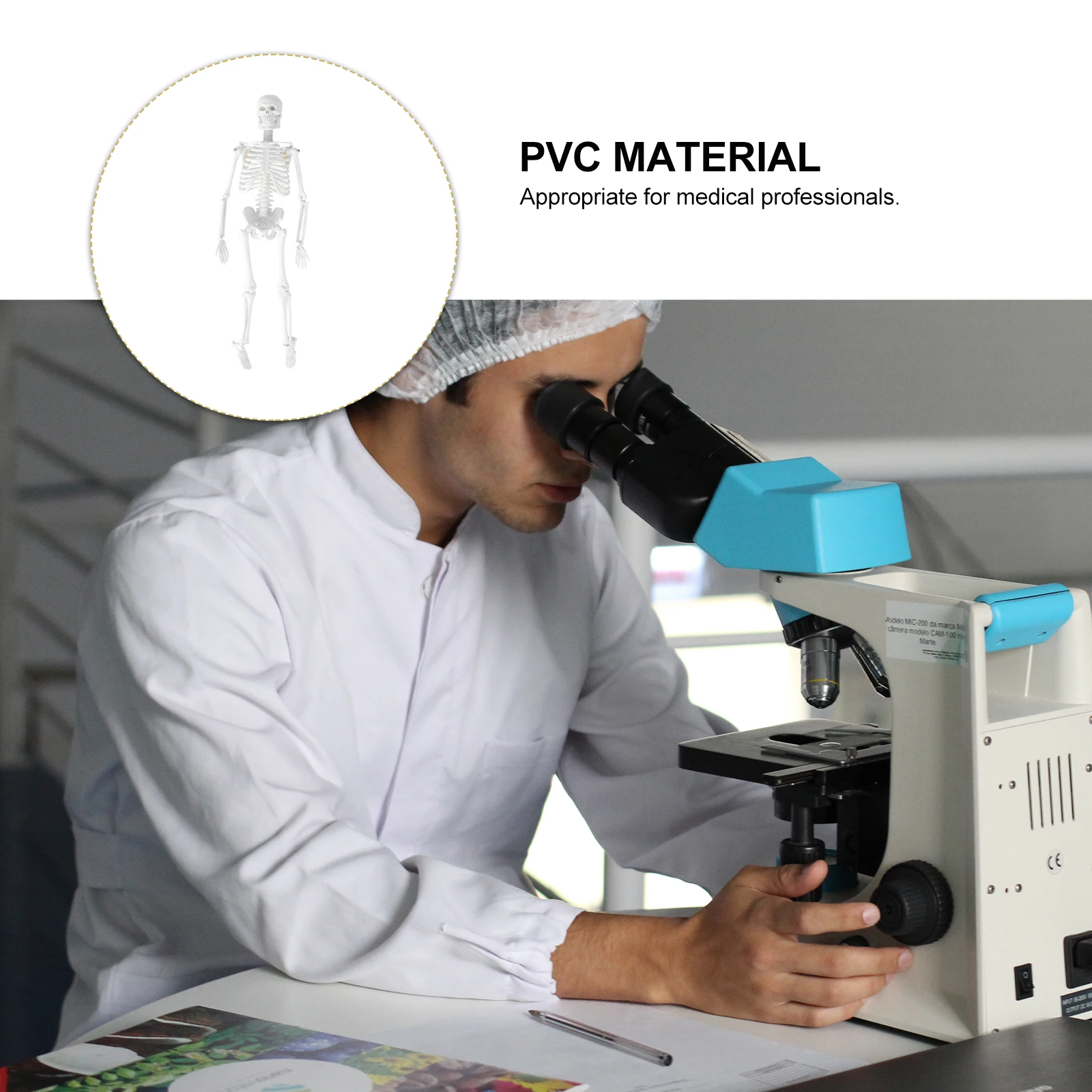 

Specimen Human Body Detachable Part Anatomical Yellow Medical Study