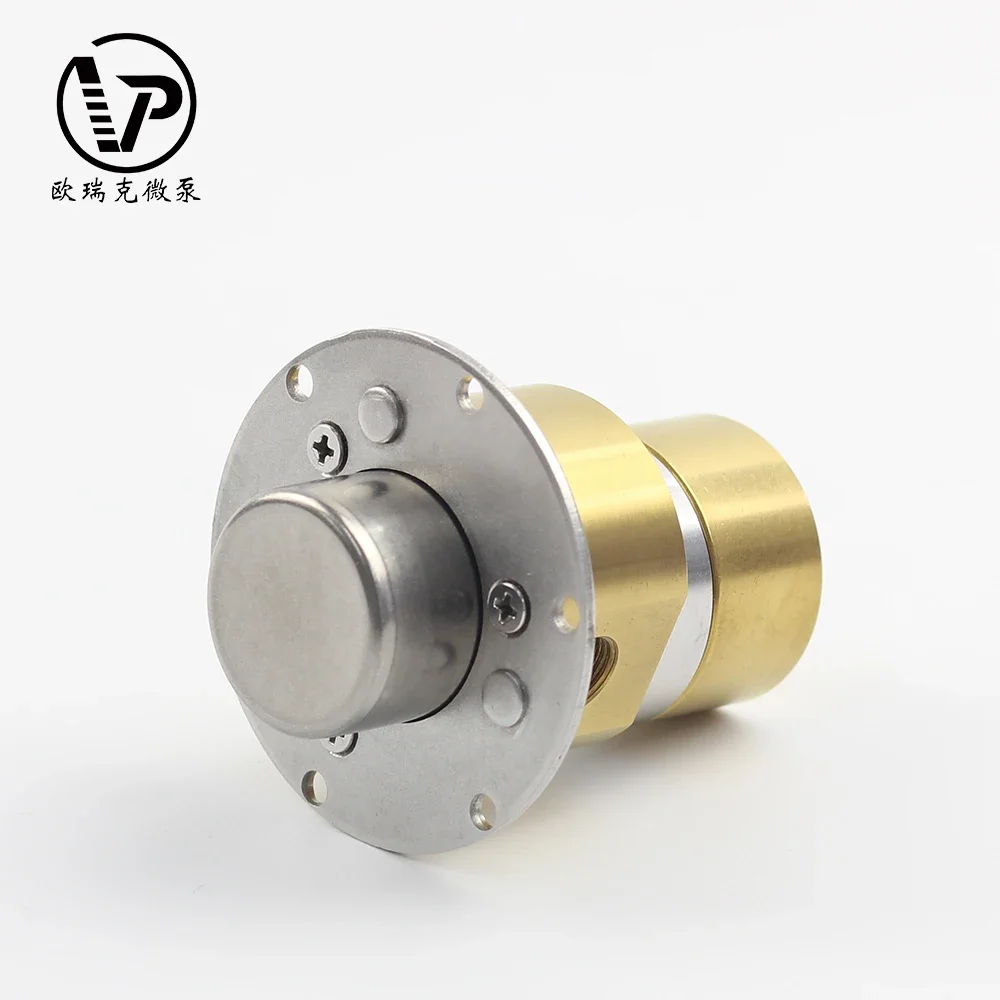 저렴한 자기 구동 수순환 펌프 연료 헤드 전기 오일 이송 고효율 기어 펌프 PLC 커플링용 화학 펌프