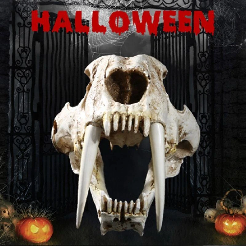 W89C 1: 1 Saber-Tother Resin Skull for Head Model Home Bar Decor
