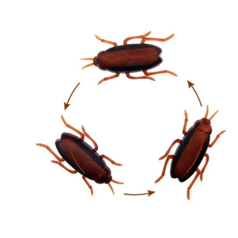 Simulazione divertente di scarafaggi Pet Cat Dog Kitten Giocattolo interattivo per addestramento