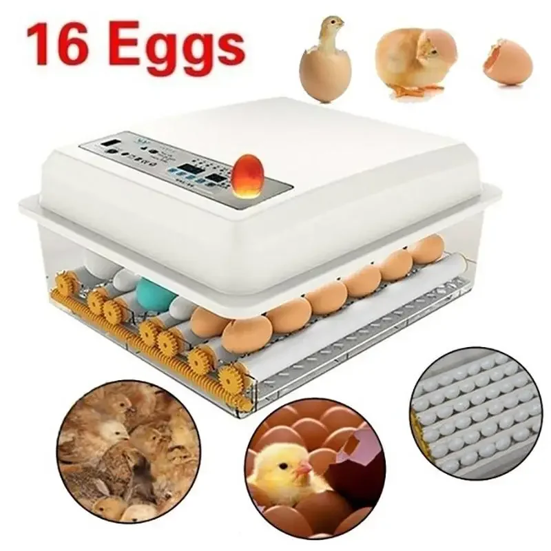 Household 16 Eggs Incubator Fully Automatic Turning Hatching Brooder Farm Incubation Tool for Bird Quail Chicken Poultry Hatcher