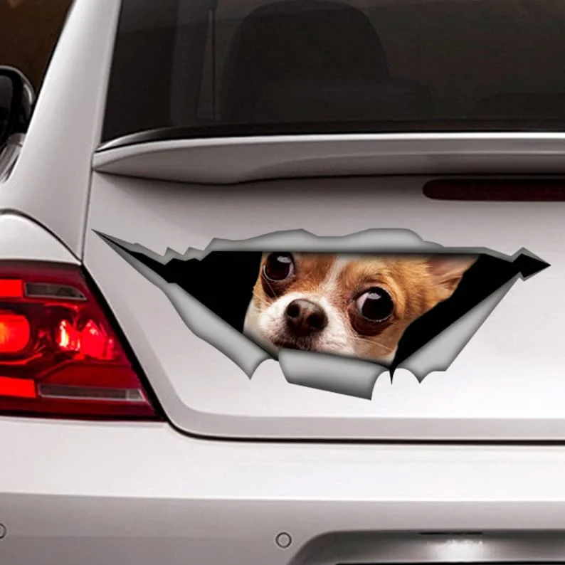 Funny Chihuahua car decal , chihuahua car decal, 3d decal, car decoration, pet decal, dog sticker, dog decal