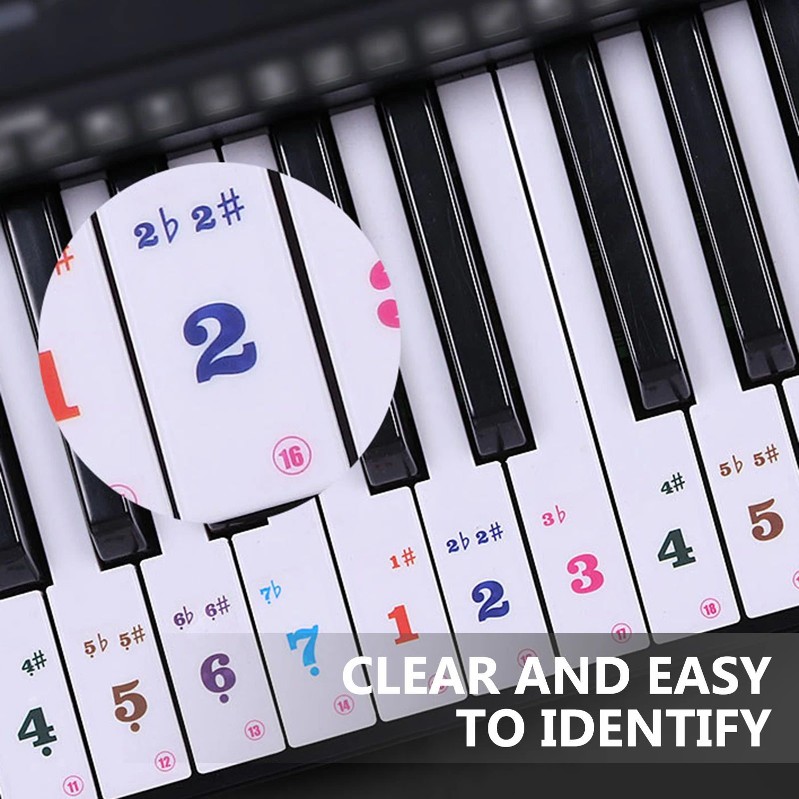 

Colorful Beginner Piano Keyboard Stickers Easy To Remove Transparent Decal Piano Learning Tool