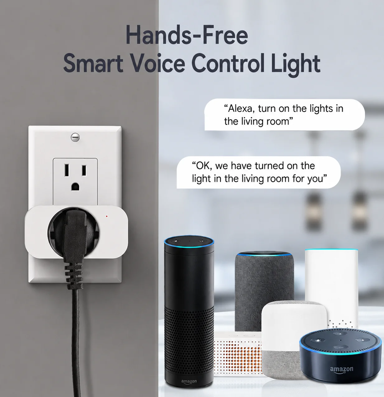 Voice Control Smart Plug