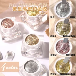 5G Starry High Density Platinum UV Nail Gel Polish Bright Gold Silver Manicure Glitter Fine Diamonds Powder Lining Painting Gel