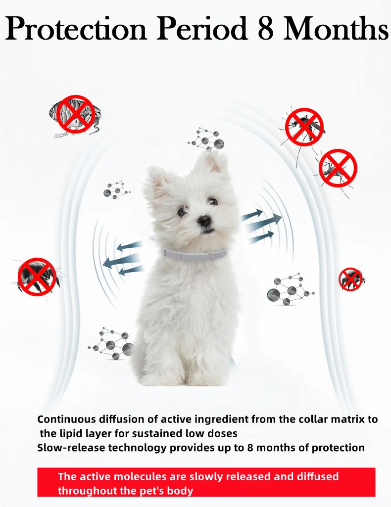 Extendable Pet Flea Collar Antiparasitic Necklace Personalized Anti Flea and Tick Big Dog Puppy Cat Anti-Flea Collar Ticks Dogs