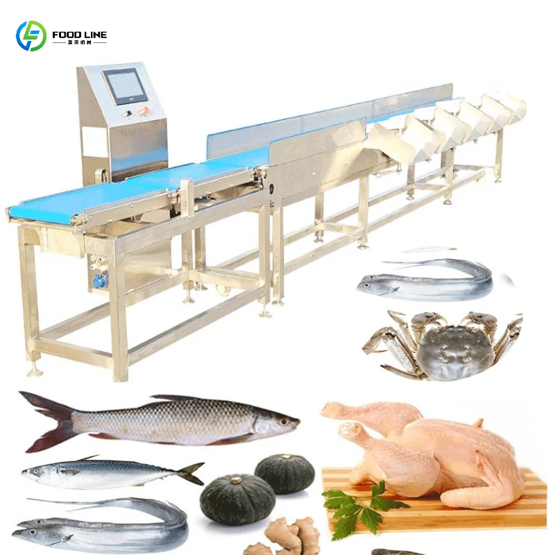 Automatic Seafood and Aquatic Chicken Fresh Food Multi-Level Weight Grading Machine for Fishery FL Customized