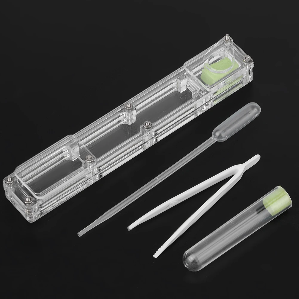 Acrylic Ant Breedin… - image