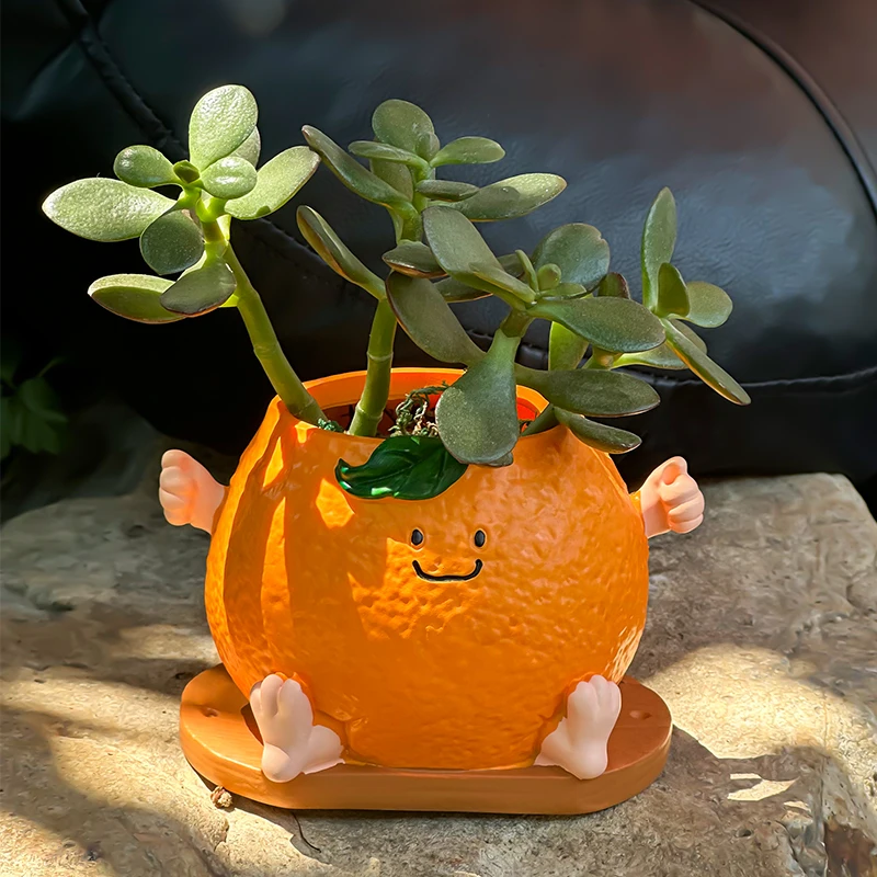 الإبداعية لطيف الوجه المبتسم البرتقالي الجلوس الموقف زهور عصارية في الهواء الطلق حديقة فناء زهرة بوعاء الديكور