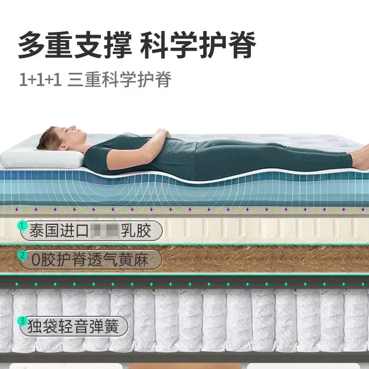 Latex Mattress, Hard Jute Spring, Latex Mattress Student Mat