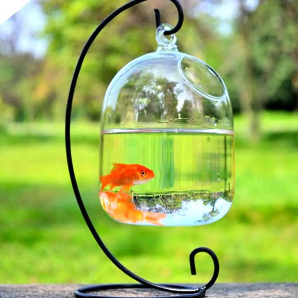 Durable Hanging Glass Fishbowl, Light Weight, Fine Workmanship