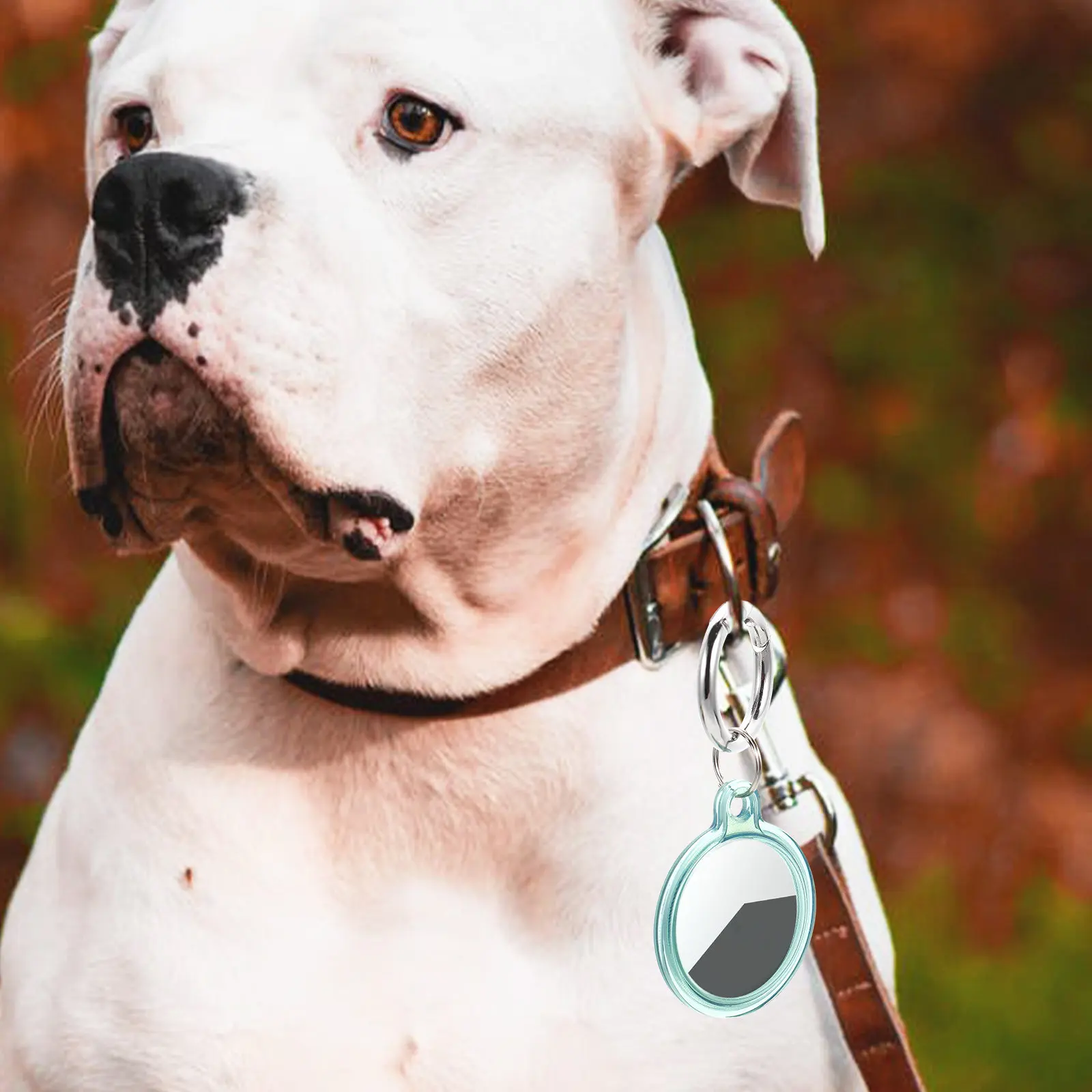 

Защитный чехол-брелок из ТПУ для Airtags: легкий, ударопрочный, для отслеживания домашних животных, с защитой от потери