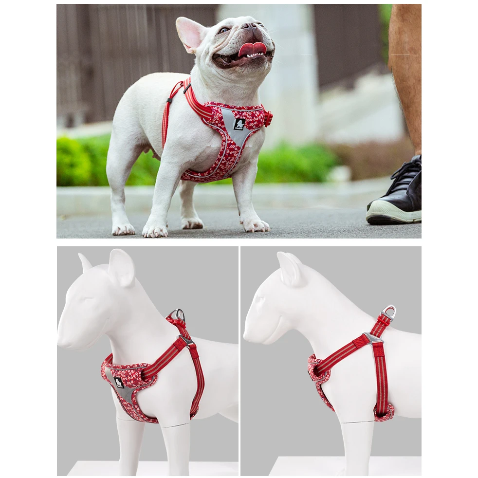 Truelove Floral Doggy Harness Soft Padded Cotton Pets Vest Dog Harness Adjustable Snappy Easy Fit Small JacketsTravel TLH5952