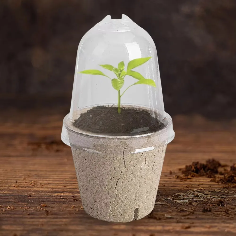 10pcs Transparent Lid Round Peat Pots Biodegradable Fibre Paper Seedling Starters Cups Planting Tools Eco-friendly Seed Tray