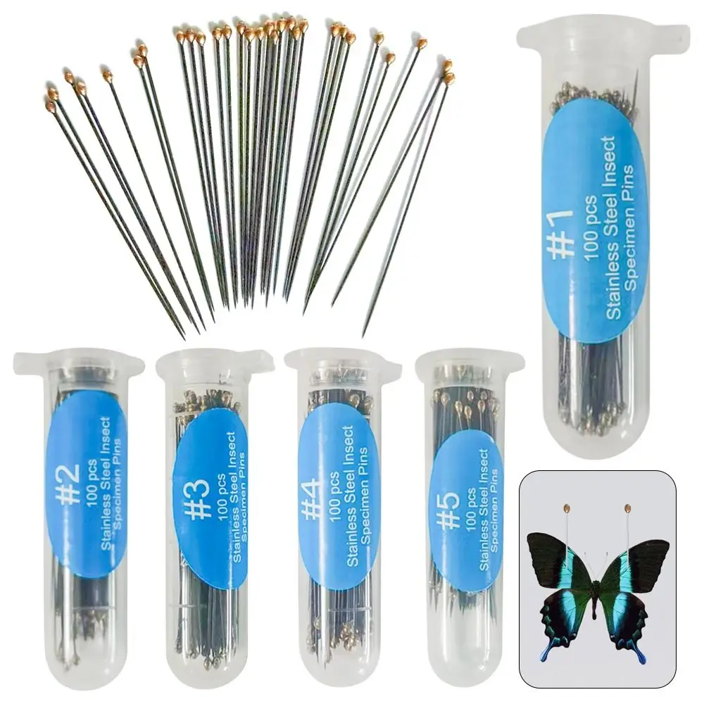 100Pcs Upscale Stainless Steel Specimen Needle Insect Pins With Plastic Box For School Lab Education Entomology Body Dissection