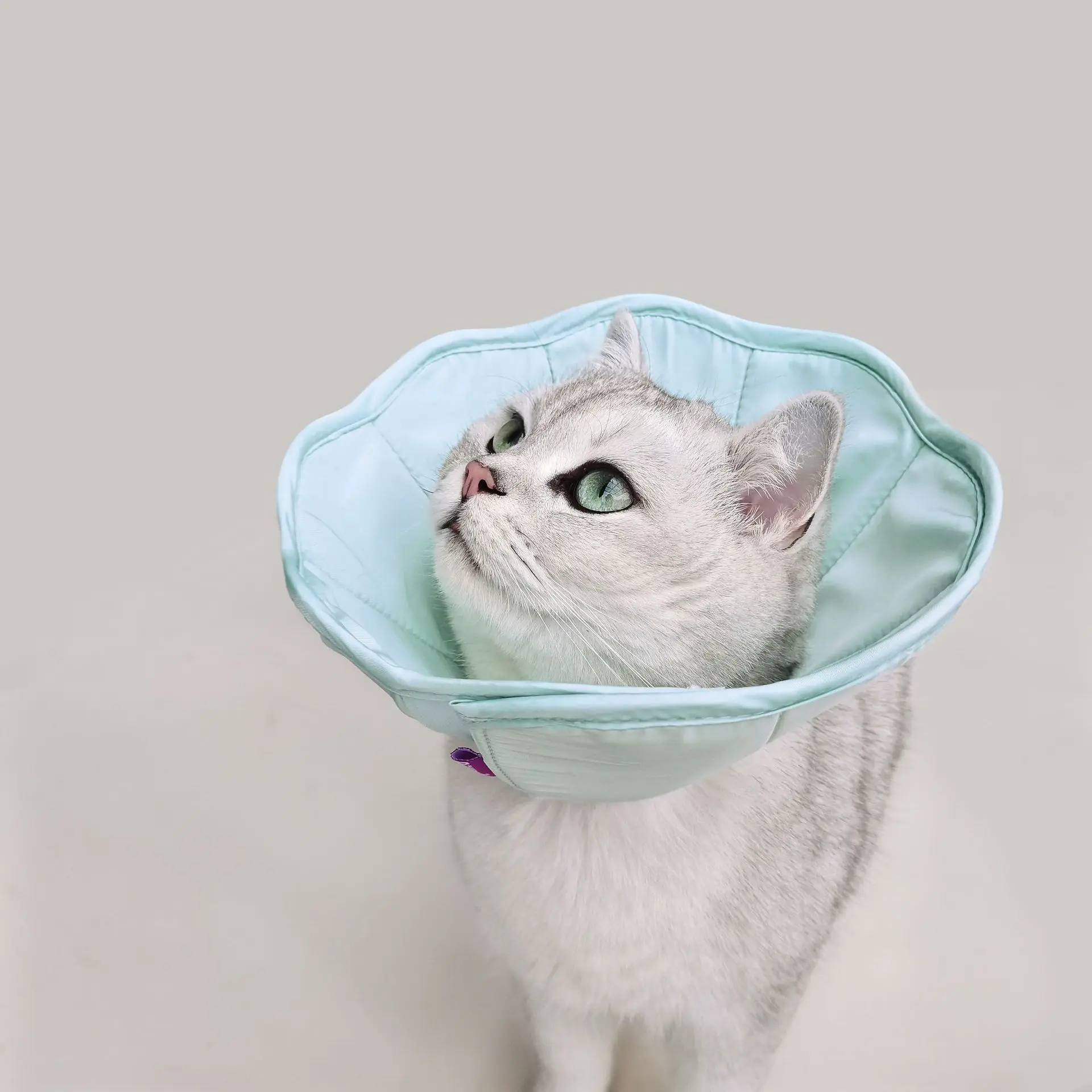 

Pet Collar Soft Ring Cat Dog Wound Healing Anti-Scratch Anti-Licking Headgear Cotton Elizabeth Neck Collars Pet Supplies