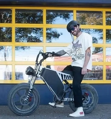 Bicicletta elettrica dotata di pneumatici grassi da 20 pollici utilizzando una bici elettrica alimentata a batteria al litio 48V 19Ah