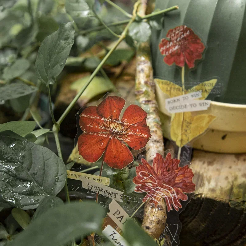 10 قطع القرطاسية الزخرفية كتيب الزهور شفافة الزهور المجففة PET المواد سجل القصاصات ملصقات النبات 167*98 مللي متر #5