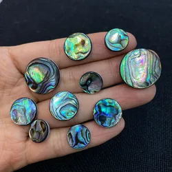 Exquisite Natural Abalone Shell Round Non-porous Beads 10-20mm Charm Fashion Jewelry DIY Necklace Earrings Bracelet Accessories