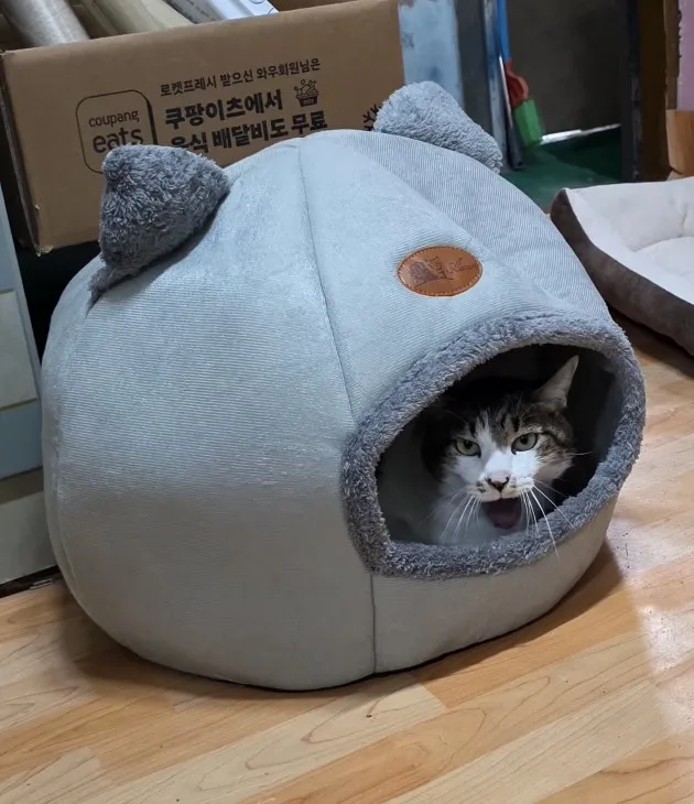 리뷰 사진