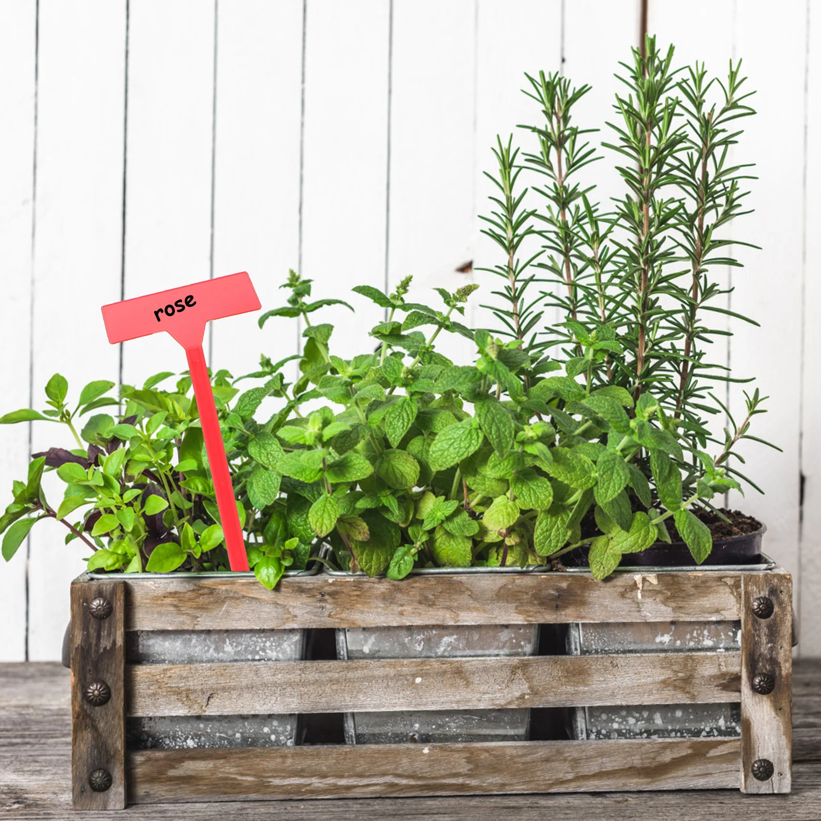 

10Pcs Waterproof Plant Garden Labels Inclined Design Nursery Plant Markers Reusable Gardening Label Red Size S