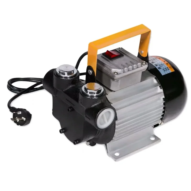 Hot Sale 220V 0.75hp 60 L/MIN Diesel Pump Drainage