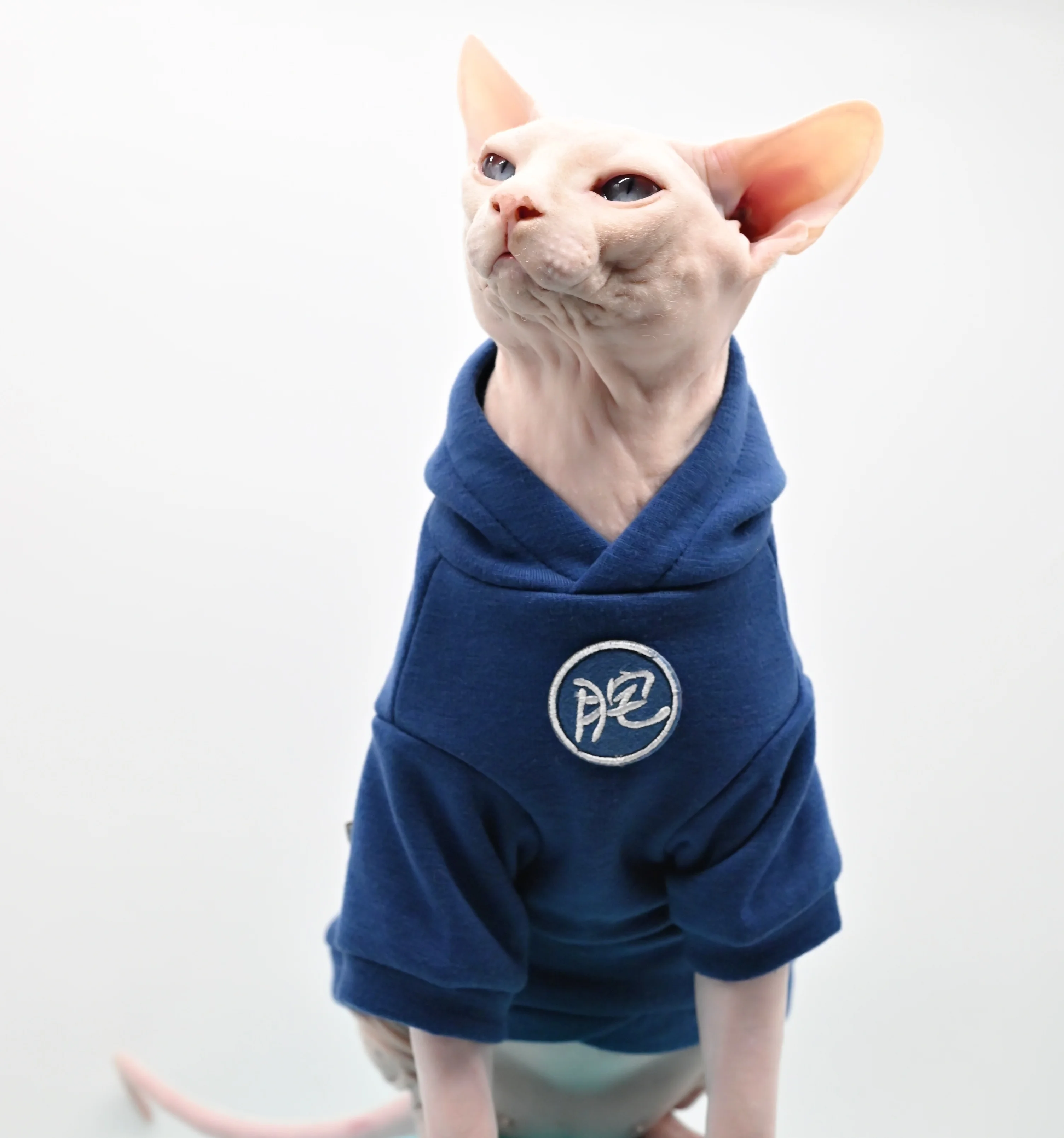 Sphynx Mèo Quần Áo Thú Cưng Quần Áo Mùa Đông Mềm Mại Và Ấm Áp Trùm Đầu Gió Thể Thao Cotton Không Lông Mèo Quần Áo Devon Mèo Quần Áo