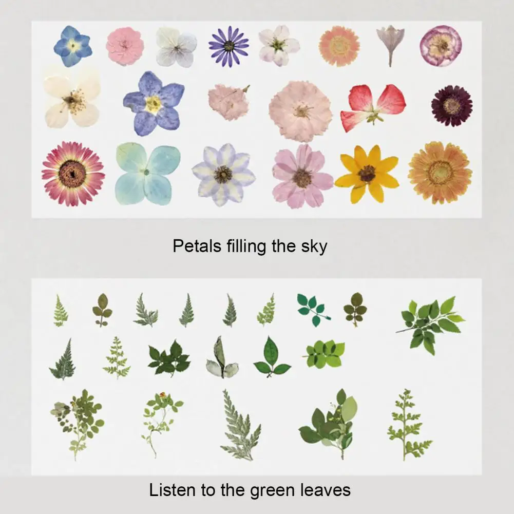 Водонепроницаемые наклейки для домашних животных, устойчивые к царапинам набор наклеек, 40 шт., набор наклеек для домашних животных с растениями, цветами, грибами, для ноутбука, конверта, телефона