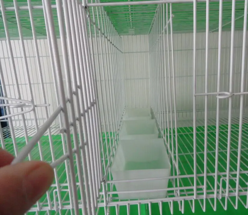 Good Design Pigeon Show Cage Taiwan Cage for Loft Racing Pigeons Metal Construction