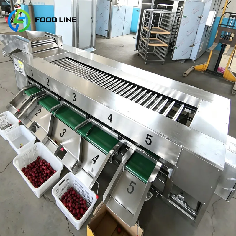 Fruit Sorting Machine Size Grading Machine Produce Sorter for Apple Pear Orange Kiwi Mango Customized