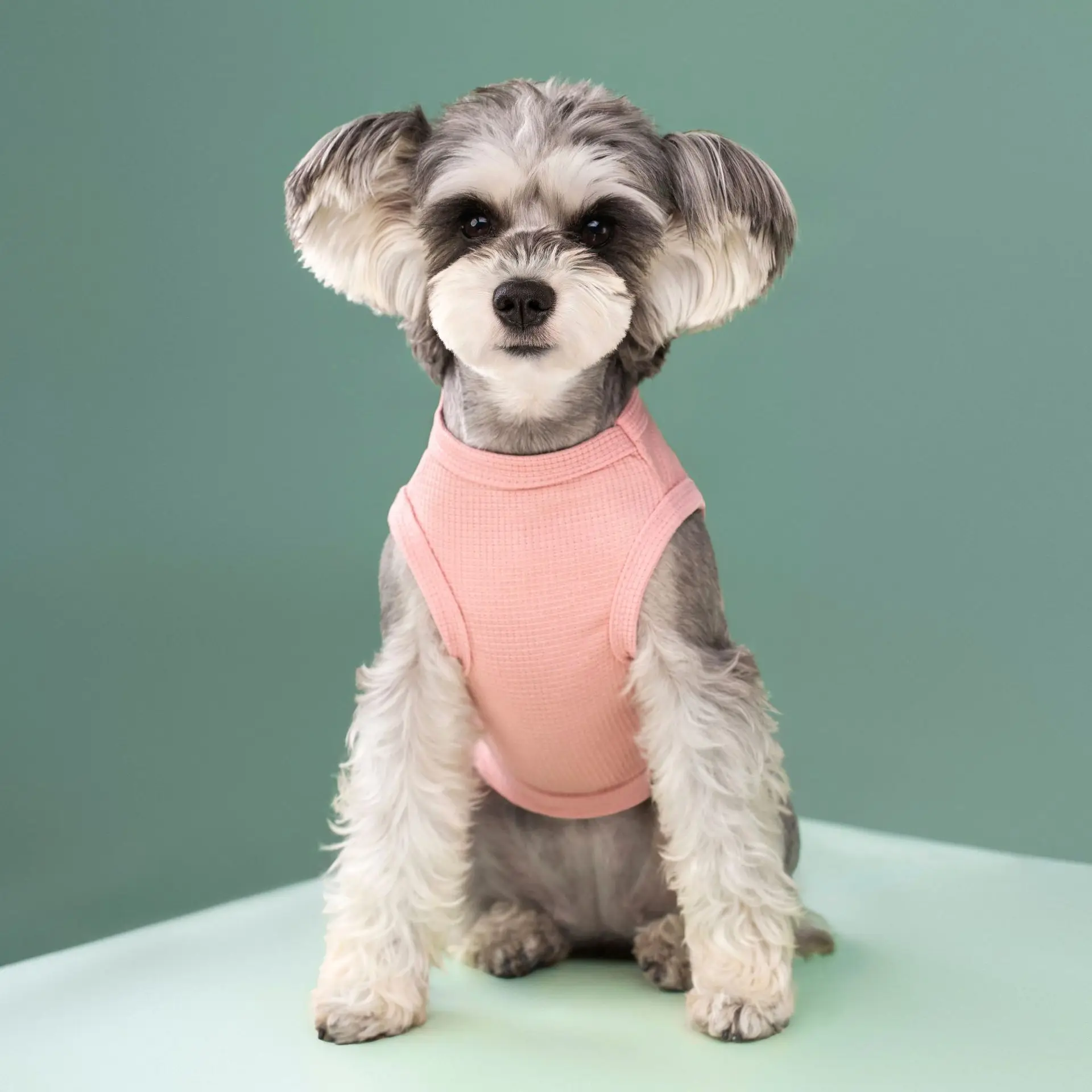 Dog Clothes for Small Dogs Summer Pet Dog Cooling Vest Puppy Clothing Solid T-Shirt Waffler Pet Apparel Chihuahua Dog Costume