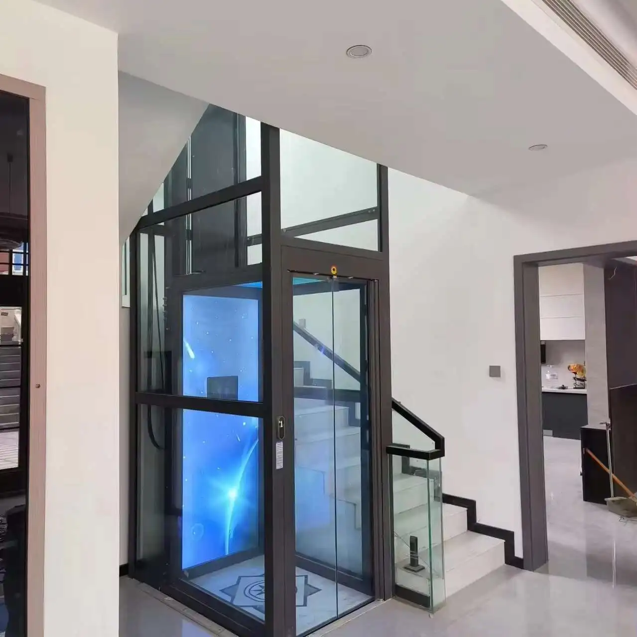 Домашний Ascensor Ial Лифты Вилла Лифт