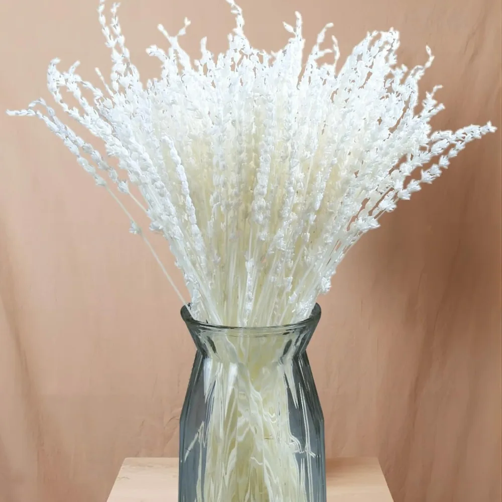 

180+Stems Dried Lavender Flowers Bundle Real Bleaching Cream White 15''-17'' Bouquet for Home Wedding Boho Party Vase Decoration