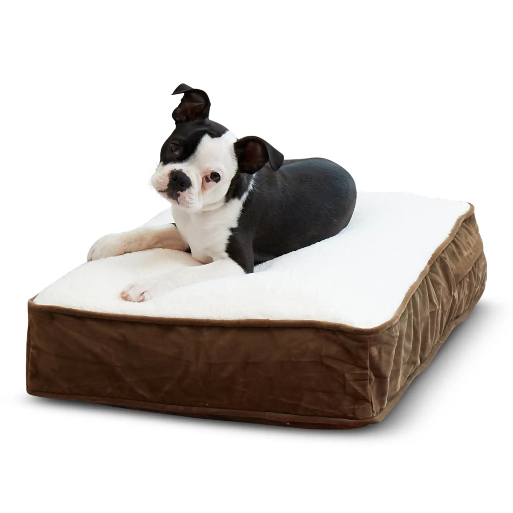 

Happy Hounds Buster Sherpa Rectangle Pillow Style Dog Bed, Latte, Extra Small (24 x 18 in.)