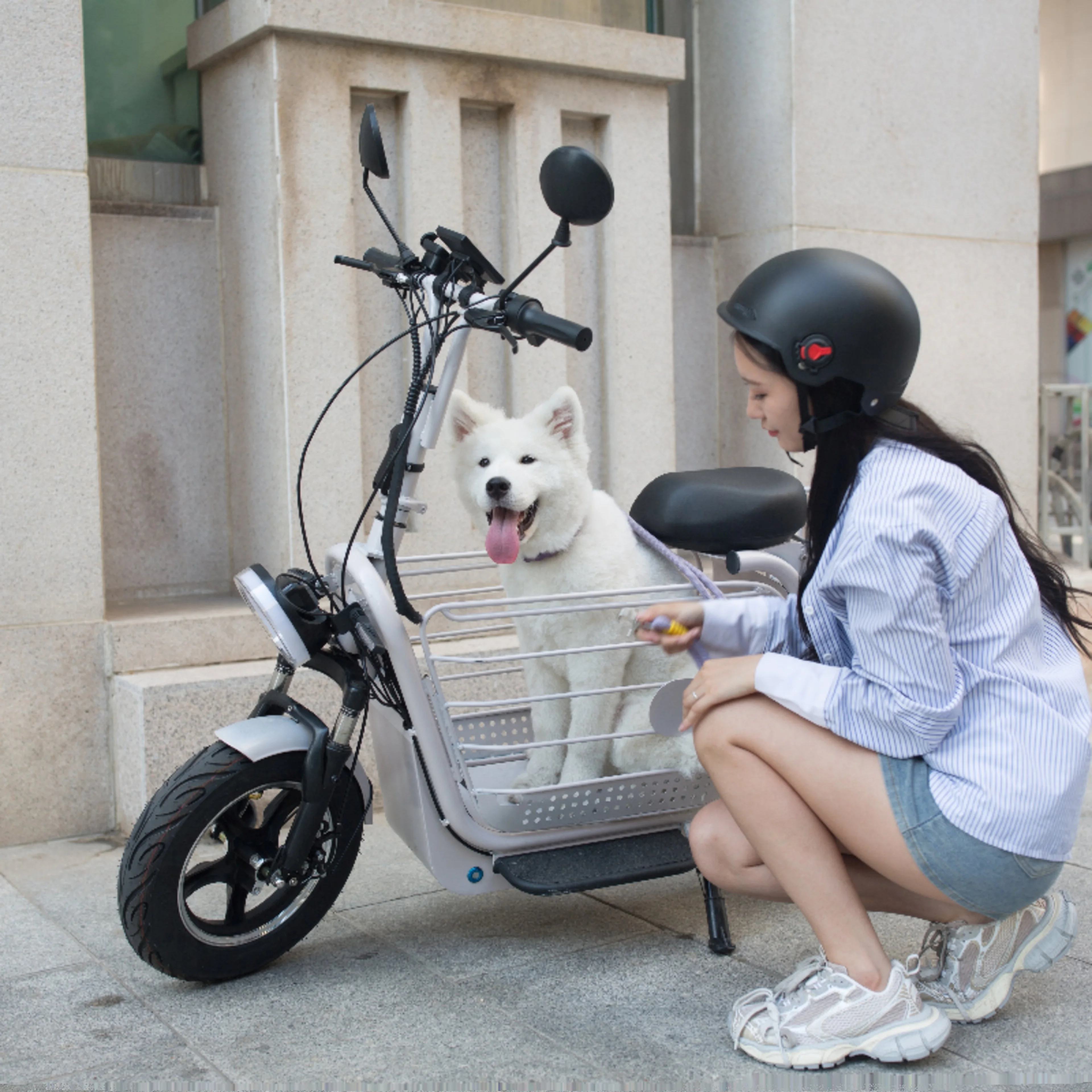 electric car can bring pets, walk dogs, bring babies, women's lightweight folding car
