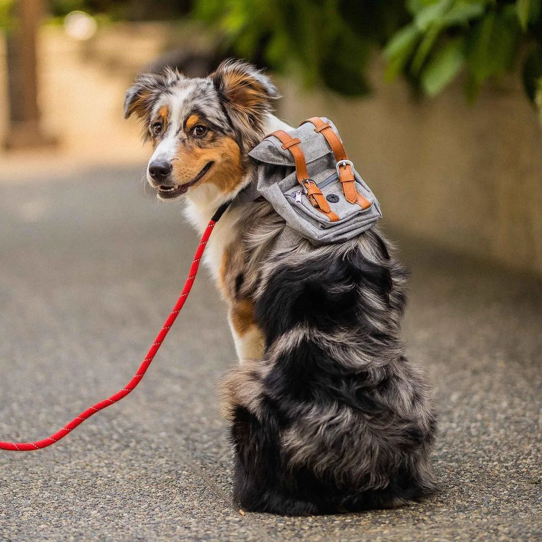 Self Cute Backpack Pet Backpack Dog Harness Retro Style Trendy Cat Puppy Chest Strap Travel Pet Dog School Bag