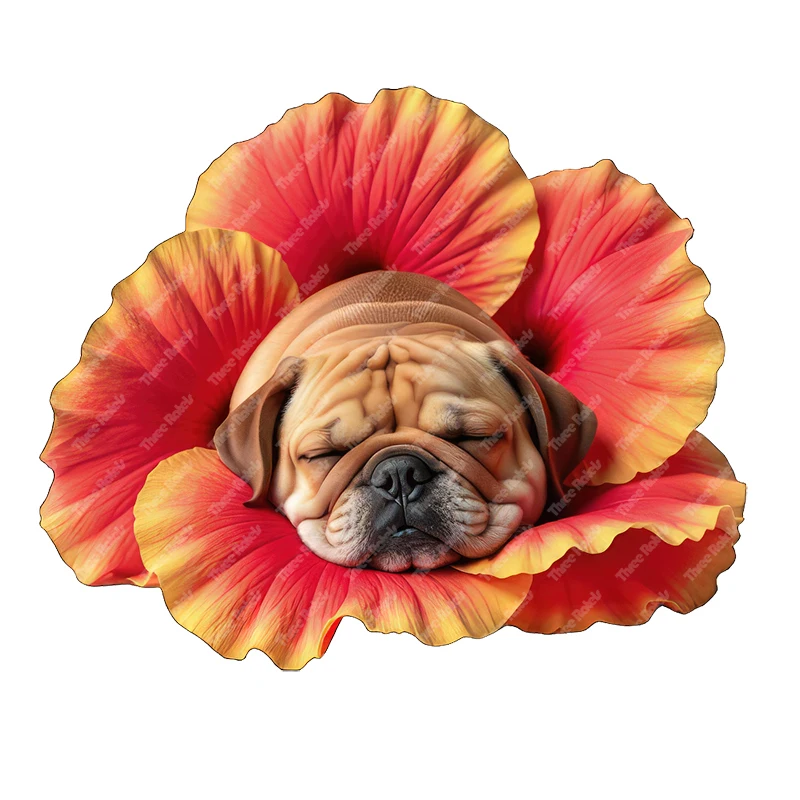 Three Ratels Sleeping Bago Dog in Flowers Cute animal wall stickers for home decoration