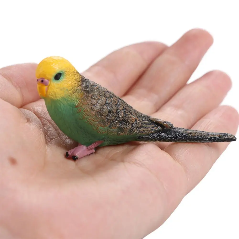 Animal Sculpture Miniatures Simulated Budgie Parrot Plastic Educational Bird Figurines Cartoon Parrot Ornament Living Room