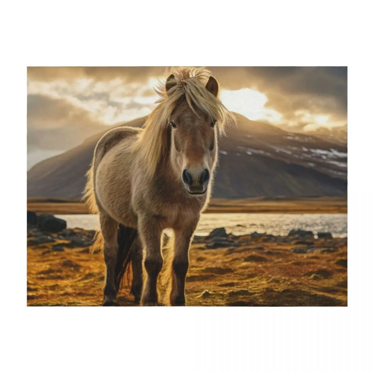 

Norwegian Fjord Horse Throw Blanket anime Custom Hair Weighted Blankets