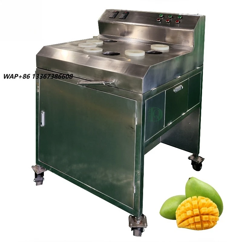 DQ Guangzhou Daqiao Industrial Commercial Fresh Fruit Slicing Processing Production Line Core Motor Mango Slicing Machine