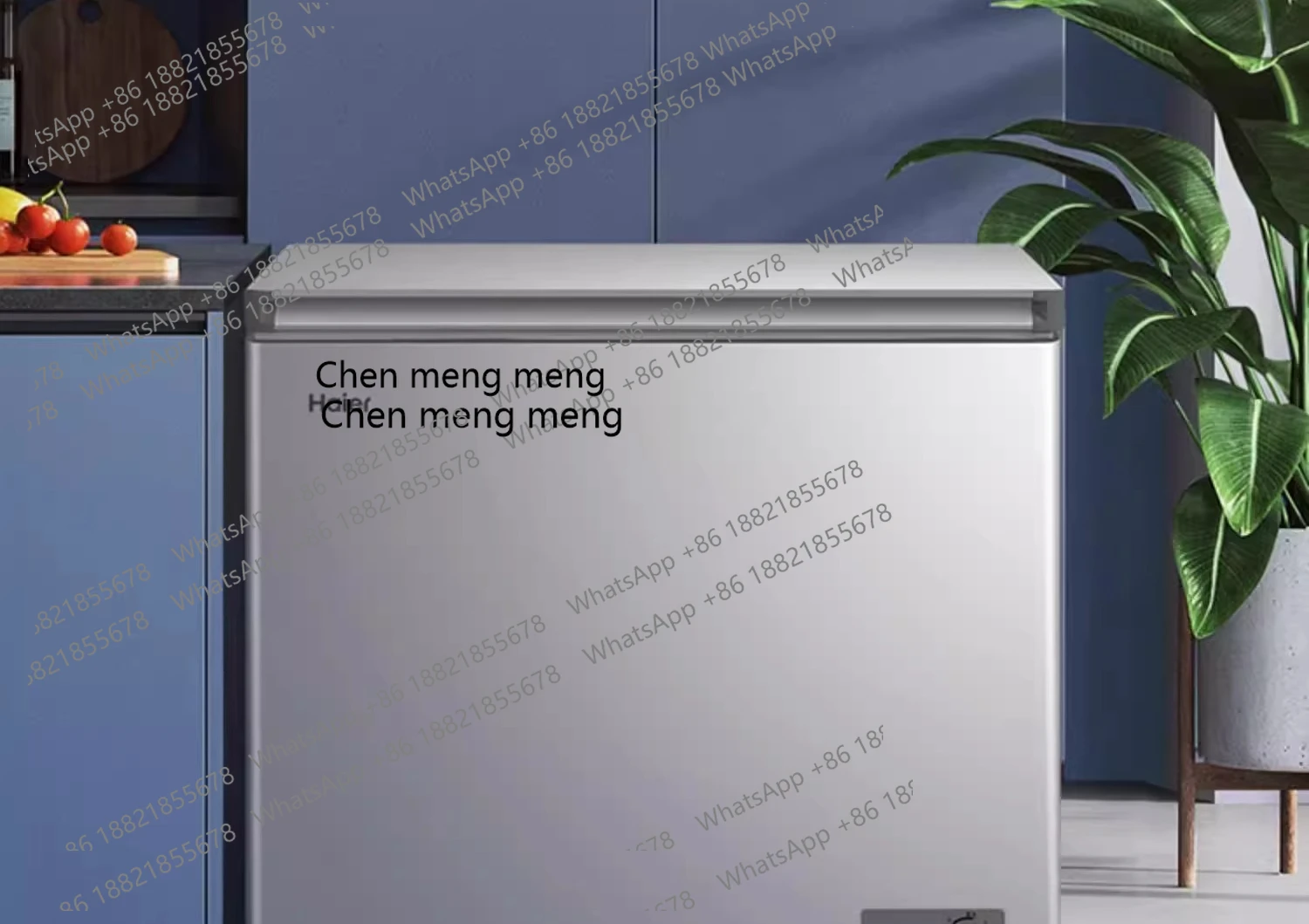 Z189 200 لتر فريزر ثلاجة منزلية تجارية فريزر كفاءة الطاقة من الدرجة الأولى