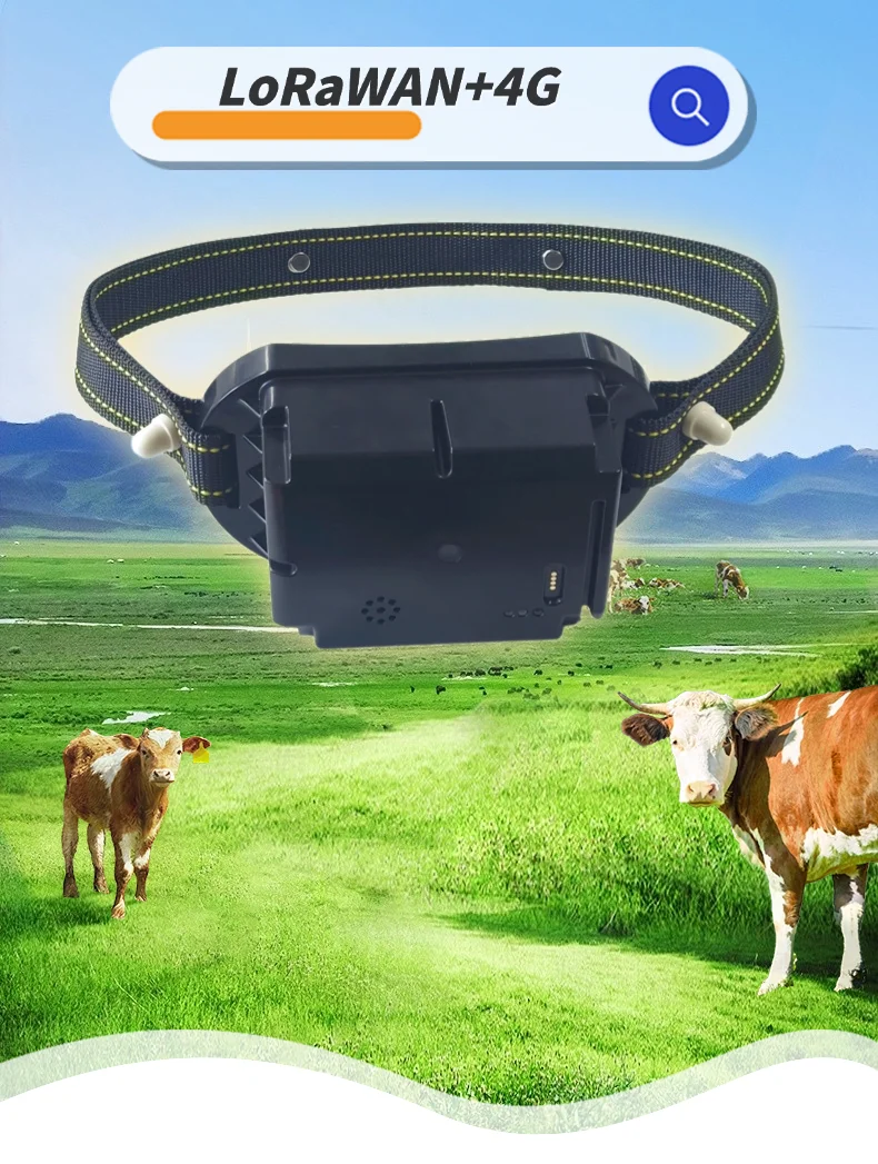 4G LoRa Akıllı Tarım Küresel K - Livestock Ear Tag incelemesi ve fiyatı