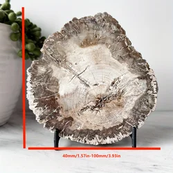 Natural Crystal Petrified Wood Slab Decorative Ornaments, Recent Crystal Decorative Gifts For Parents, Natural Quartz Crystal
