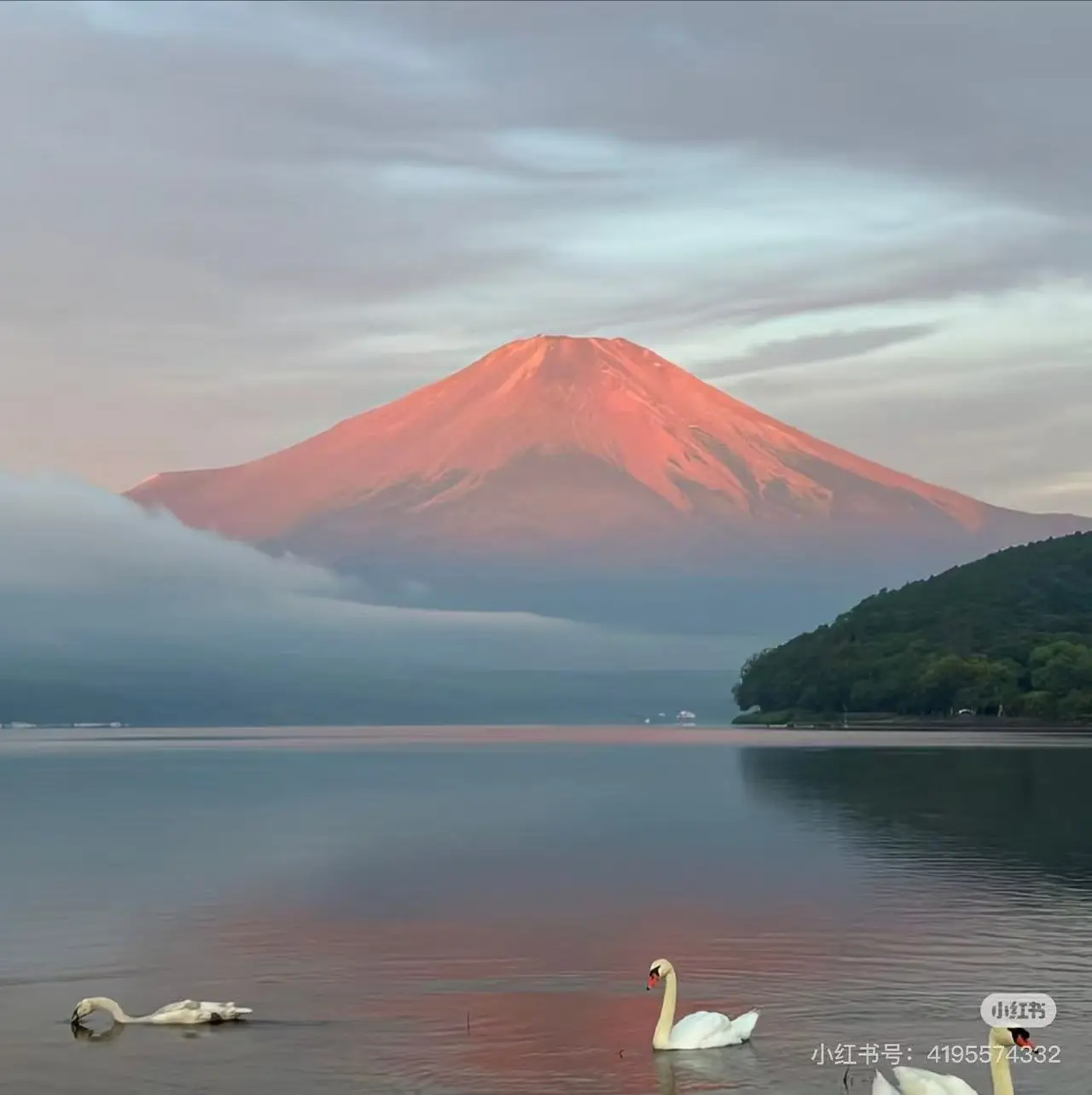 

Оптовая продажа 808 нм диодный лазер Многофункциональная косметическая машина Запчасти для волос Диодный лазер Ручка