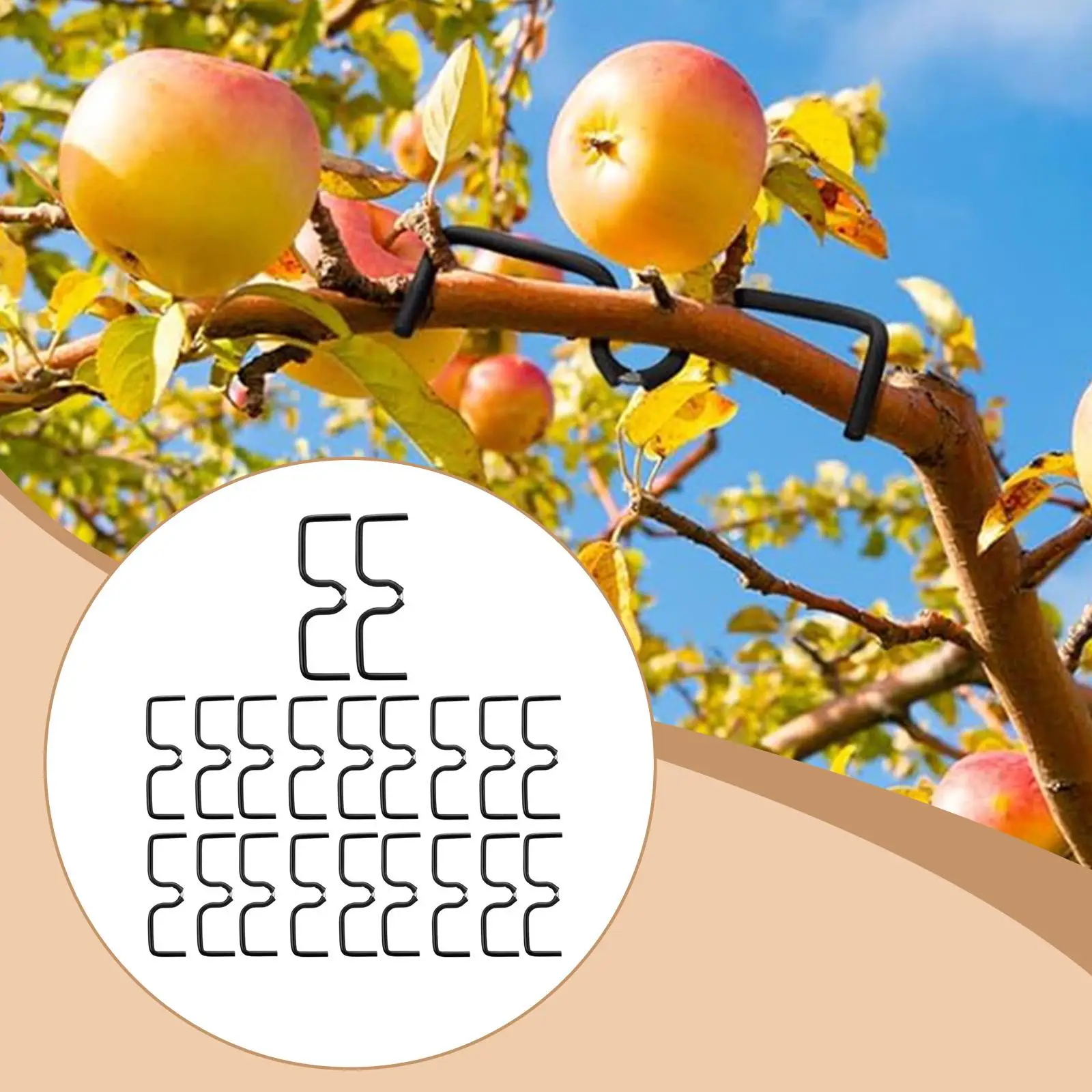 Gardening Fruit Tree Branch Spreader Non Damaging Angle Training Tool Support for Fruit Tree Outside Use